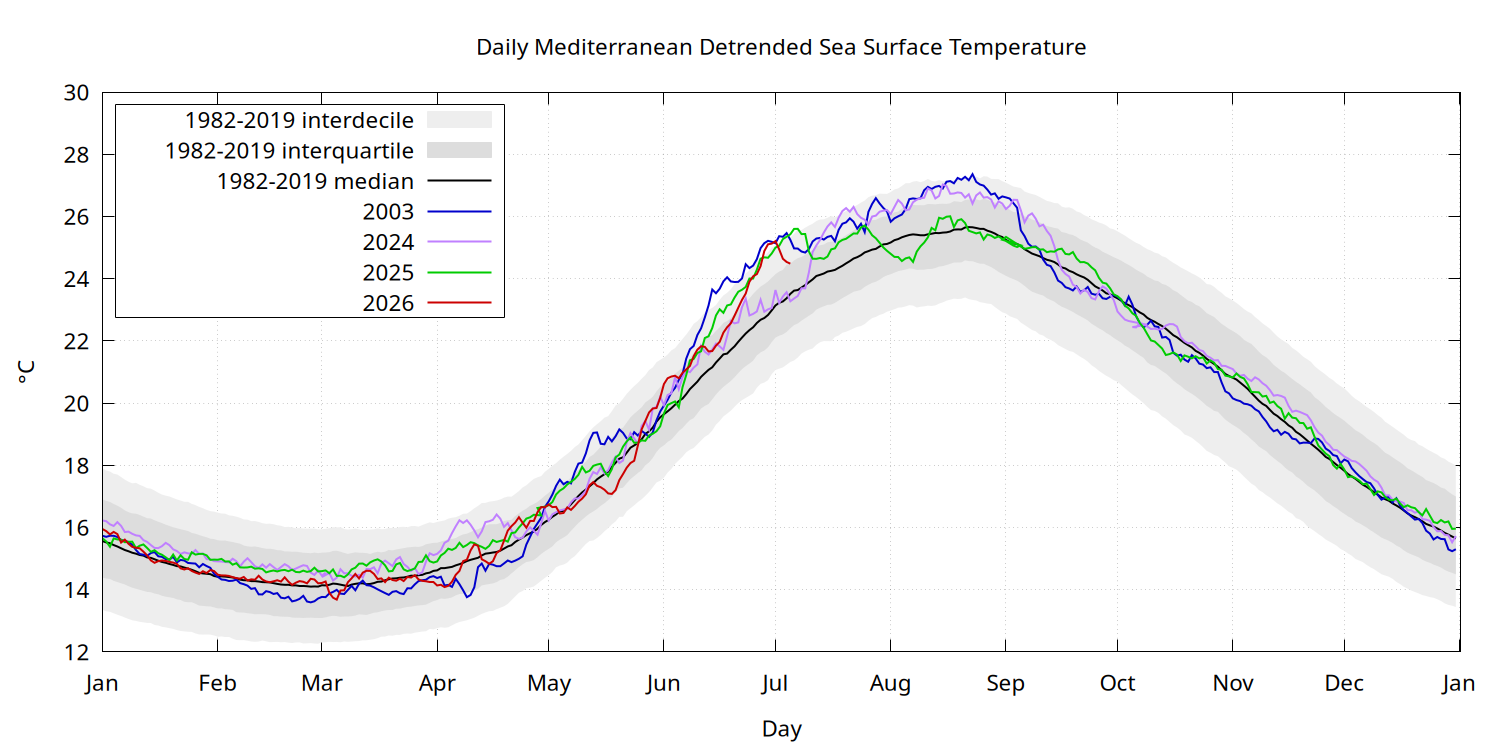 Daily evolution of the detrended median SST